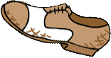 Bota