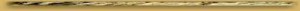 lin37