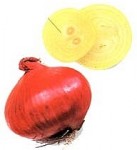 Cibule