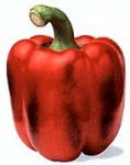 Paprika