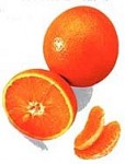 Pomeran
