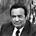 Vladimr Menk