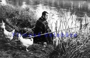 Vlastimil Brodsk - Rozmarn l
