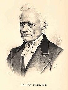 Jan Evangelista Purkyn