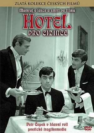 Ladislav Mrkvika - Hotel pro