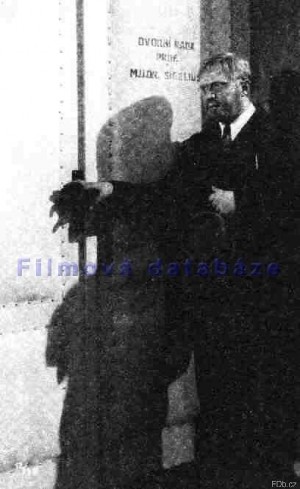 Hugo Haas - Bl nemoc
