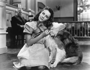 Elizabeth Taylor - Lassie se v