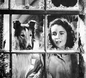 Elizabeth Taylor - Lassie se v