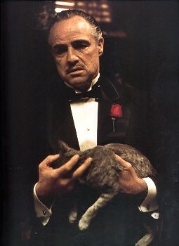 Marlon Brando - Kmotr