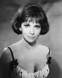 Gina Lollobrigida