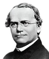 Johan Gregor Mendel