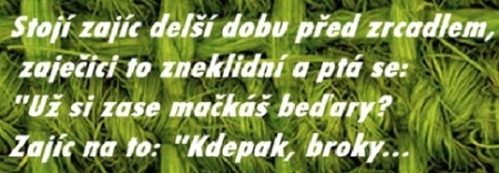 Zajc