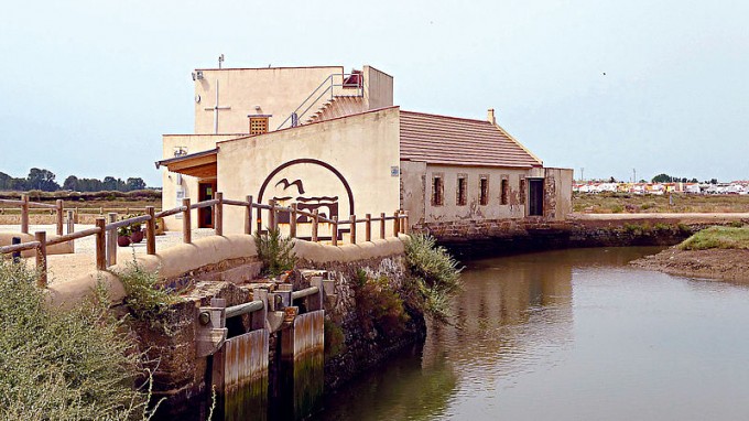 Plivov mln Molino del Pint