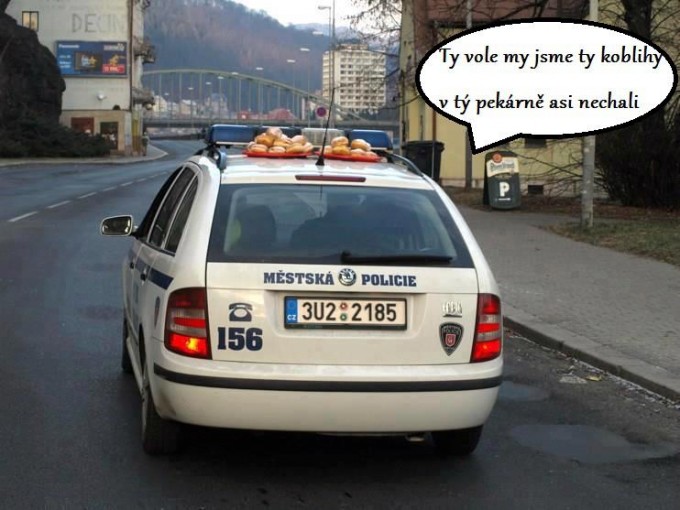 Mstsk Policie st n. L.