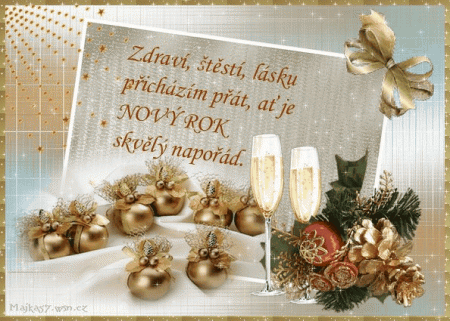 Nov rok