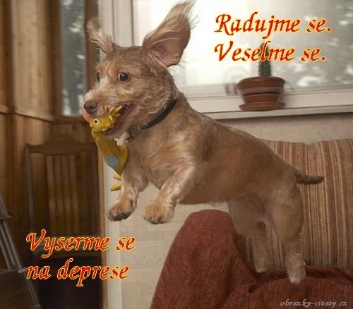 Heslo dne